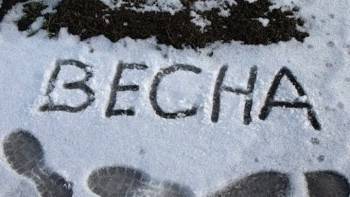 Вологжан предупредили о сильнейшем снегопаде