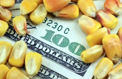 Две трети купленной Китаем кукурузы — из Украины