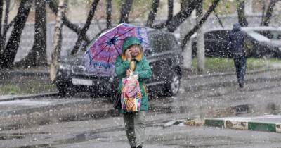 Синоптик предупредил о мокром снеге с дождем в Москве