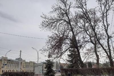 В Тамбовской области в ближайшие часы ожидается усиление ветра до 23 м/с
