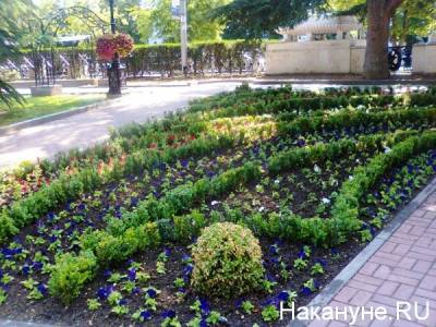 В Екатеринбурге Ботанический сад открывают после ограничений. Вход - платный