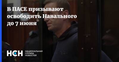 В ПАСЕ призывают освободить Навального до 7 июня