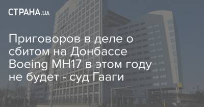 Приговоров в деле о сбитом на Донбассе Boeing МН17 в этом году не будет - суд Гааги