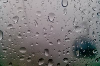 Через несколько часов в Твери начнется затяжной дождь