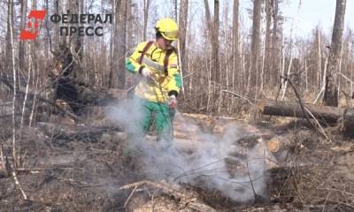 Лесные пожары угрожают перекинуться на села одного из районов Омской области
