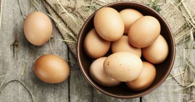 В Украине снизилось производство яиц: что теперь с ценами