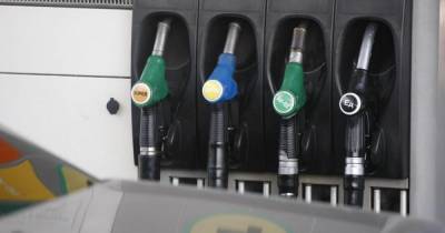 Российский аналитики рассказали, сколько будет стоить бензин к концу года
