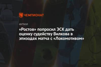 «Ростов» попросил ЭСК дать оценку судейству Вилкова в двух эпизодах матча с «Локомотивом»
