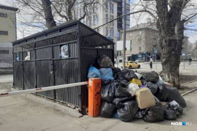 Прокуратура проведет проверку по факту загрязнения мусором центра Новосибирска