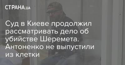 Суд в Киеве продолжил рассматривать дело об убийстве Шеремета. Антоненко не выпустили из клетки