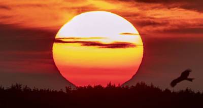 Ученые зафиксировали уникальную вспышку на Солнце