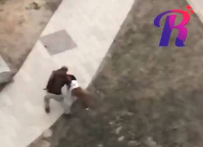 Бойцовская собака напала на мать с ребенком в Москве