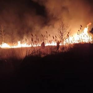 В Запорожской области произошел крупный пожар на территории села. Фото