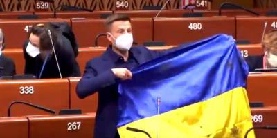 «Продали совесть Европы»: президент ПАСЕ пригрозил наказать Гончаренко из-за украинского флага — видео