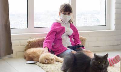 В соседнем с Карелией регионе выявили коронавирус у кошки
