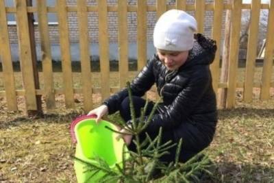 Около 5 тысяч деревьев высадят в Псковской области в рамках акции Сад Памяти