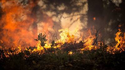 Поджог травы в Нижегородской области привел к пожару в восьми жилых домах