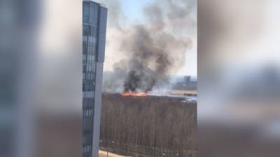 В Сети появились кадры пожара около "Лахта-центра"