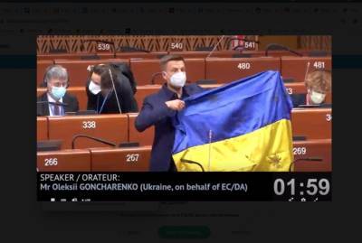 Президент ПАСЕ остановил выступление Гончаренко из-за того, что он начал показывать простреленный флаг