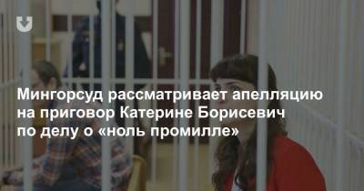 Мингорсуд рассматривает апелляцию на приговор Катерине Борисевич по делу о «ноль промилле»