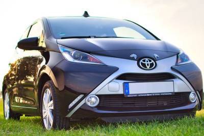 В Toyota серьезно задумались об экологичности и мира