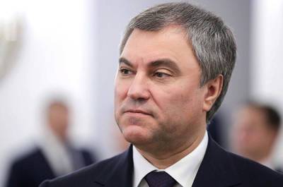 Володин прокомментировал удаление из зала заседаний ПАСЕ депутата, допустившего хамство в адрес России