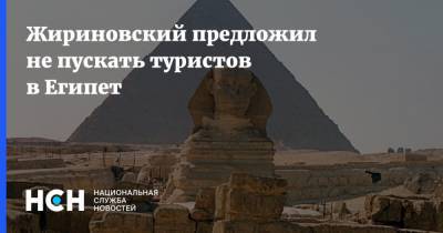 Жириновский предложил не пускать туристов в Египет