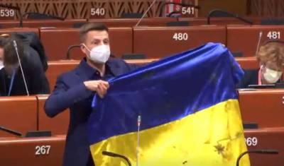 Украинского депутата едва не выгнали из зала ПАСЕ из-за флага Украины