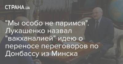 "Мы особо не паримся". Лукашенко назвал "вакханалией" идею о переносе переговоров по Донбассу из Минска