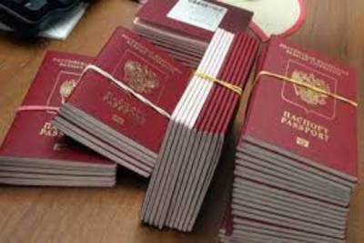 Госдума приняла запрет на двойное гражданство для госслужащих, военных и дипломатов