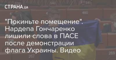 "Покиньте помещение". Нардепа Гончаренко лишили слова в ПАСЕ после демонстрации флага Украины. Видео