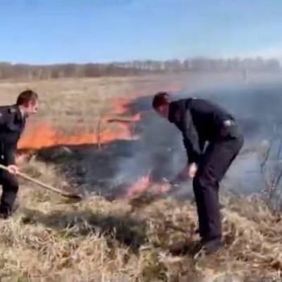 12 частных домов загорелись в Нижегородской области из-за пала травы
