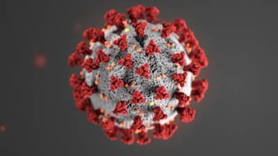 Вирусолог Центра Гамалеи оценил опасность сибирского штамма коронавируса