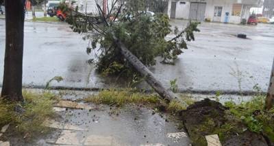 Ураган на черноморском побережье Грузии – пострадали два человека