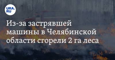 Из-за застрявшей машины в Челябинской области сгорели 2 га леса