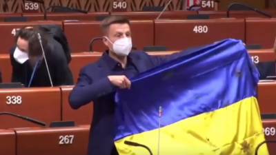 Украинского депутата Гончаренко жестко отчитали в ПАСЕ за национальный флаг