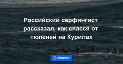 Российский серфингист рассказал, как спасся от тюленей на Курилах