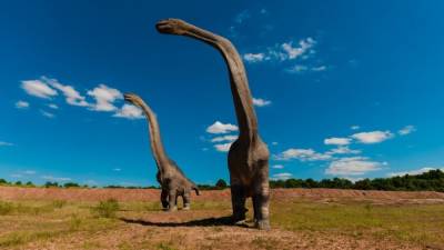 Археологи открыли неизвестный вид динозавров в пустыне Монголии