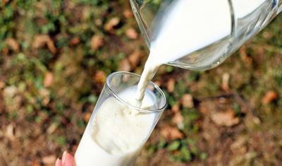 В Башкирии открыли семь цехов для создания продуктов «Молочной кухни»
