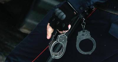 МВД потратит почти 81 миллион рублей на наручники