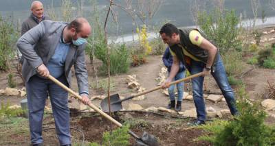 Общегосударственная посадка деревьев пройдет в Армении 25 апреля