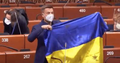 Президент ПАСЕ во время заседания "заткнул" Гончаренко с флагом Украины в руках (видео)