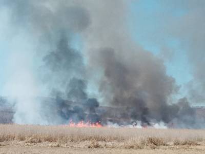 Под Миассом тушат лесной пожар: огонь пришел из Башкортостана