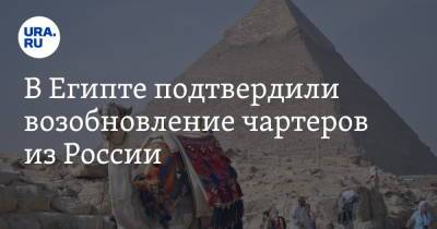 В Египте подтвердили возобновление чартеров из России