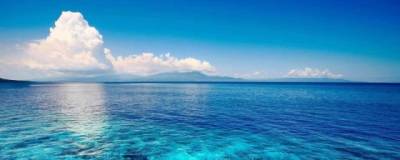 Ученые: На протяжении столетий океан продолжит терять кислород