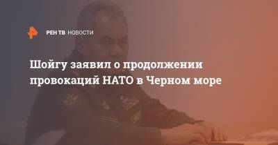 Шойгу заявил о продолжении провокаций НАТО в Черном море