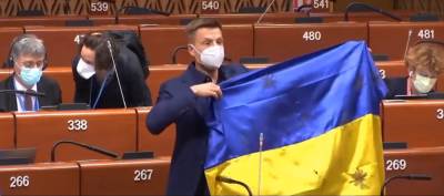 Депутата Рады Гончаренко в очередной раз опозорил Украину в ПАСЕ