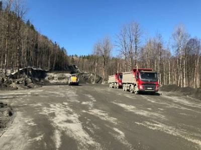 Предприятие в Подпорожском районе оштрафовали на 525 тысяч рублей за загрязнение леса