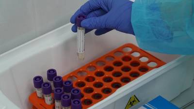 В Пермском крае выявлены британский и южноафриканский штаммы коронавируса