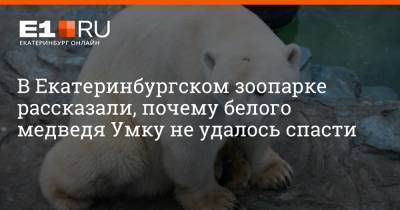 В Екатеринбургском зоопарке рассказали, почему белого медведя Умку не удалось спасти